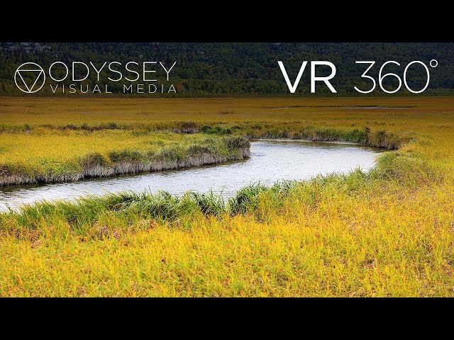 Potter Marsh Virtual Tour | VR 360° Travel Experience | Alaska Anchorage
