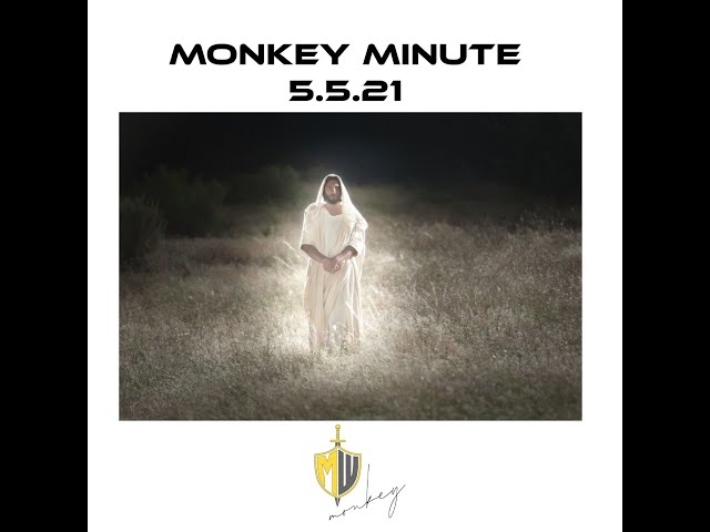 Monkey Minute 5 5 21