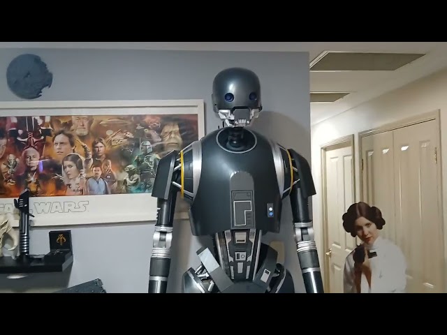 Star Wars Collection Display 2025