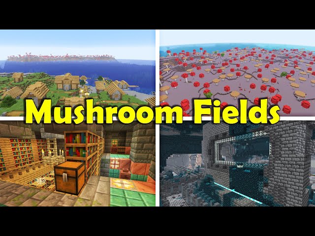 Minecraft - Some of The Best 2026 Mushroom Island + Villages Spawn Seeds - Java 1.21.11