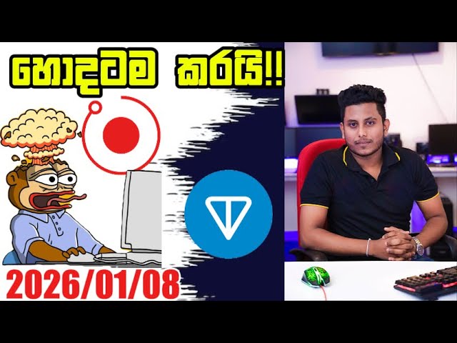 RENDER , TON හොදටම කරයි!!!Crypto Market Update By ROG CRYPTO | Crypto Sinhala Update