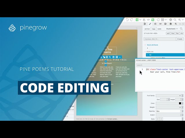 Pine Poems Tutorial - Code Editing - PG 9