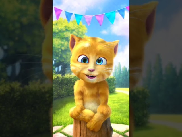 talking ginger gameplay 😂 funny cat video 📷 #talkingtomversion #talkingtom #cat