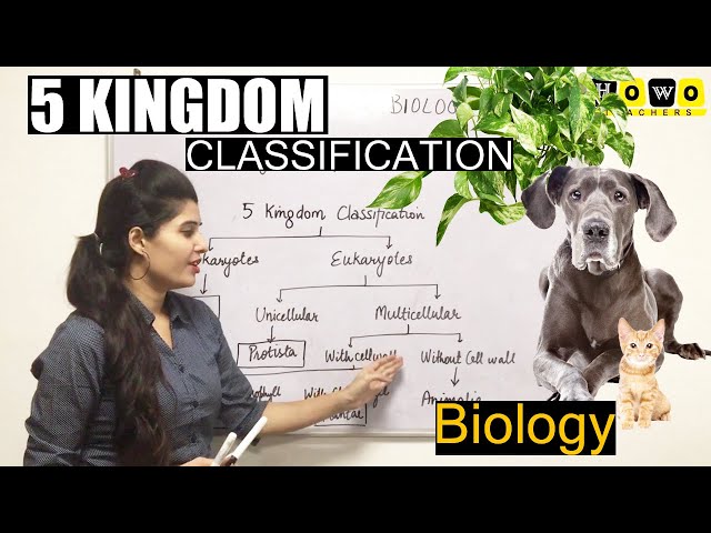 5 KINGDOM CLASSIFICATION | EASY EXPLANATION OF 5 KINGDOM | CLASSIFICATION | LIVING WORLD | PART I
