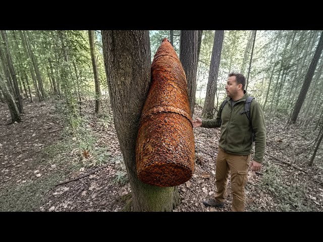 50 Recent Discoveries That People Found On Their Land! 