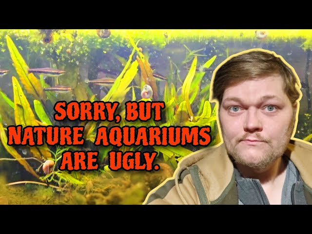 Nature Aquariums Are UGLY. Fishkeeping Cults & Tribalism: Father Fish v. Walstad v. Amano Aquascapes