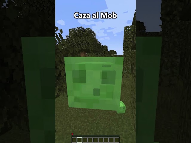 I hid as a Slime #minecraft