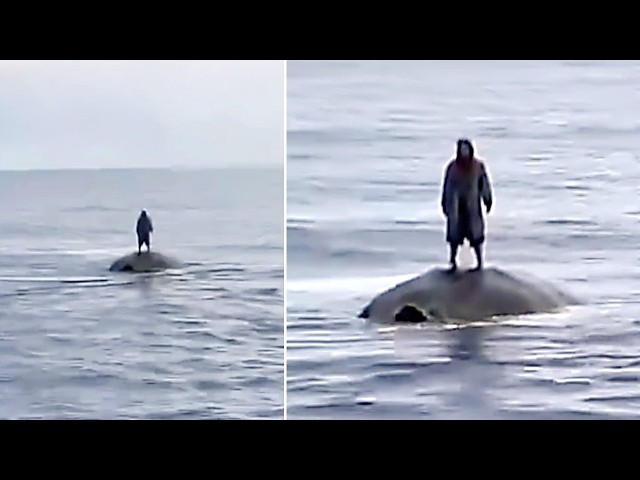 Scary Things Sailors Filmed Hundreds of Miles From Land