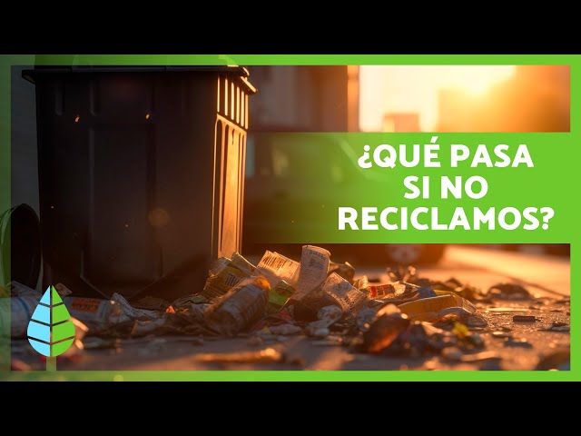 What would happen if we stopped recycling? ♻️ | The Importance of Recycling