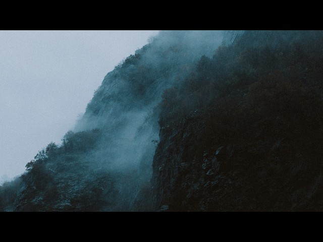 Sappheiros - Need