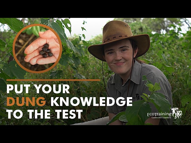 Who Dung It Quiz l EcoTraining