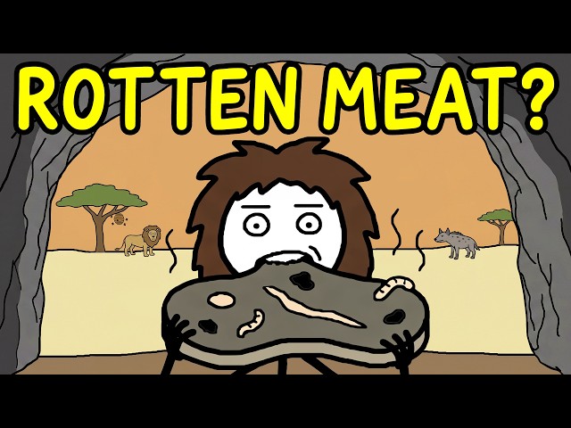 What Did Ancient Humans Actually Eat?