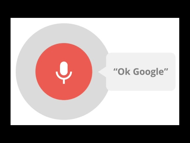 Ok Google || DID your phone Respond?😂