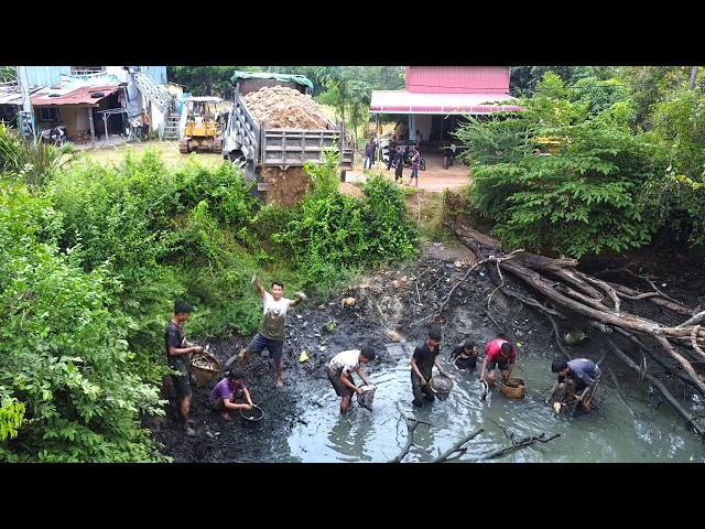 First Start Amazing PROJECT!! Filling Land Delete Deep Fish Pond Use Strong Bulldozer & 5Ton Truck.