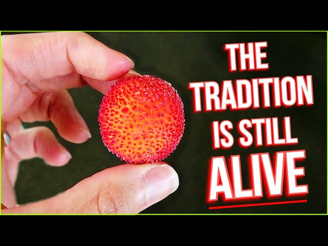 MEDRONHO : How Portugal Is Bringing Back This Forgotten Fruit (Strawberry Tree Fruit)