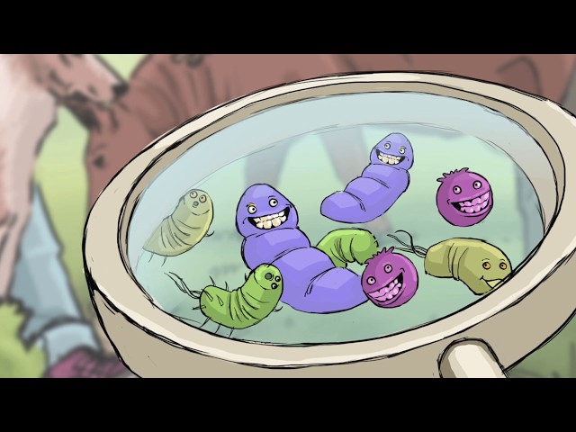 Antimicrobial resistance (AMR) educational video (English version)