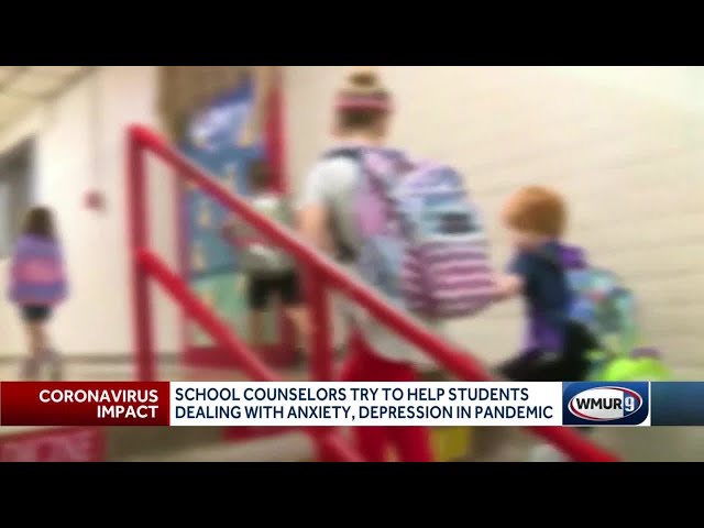School counselors try to help students dealing with anxiety, depression in pandemic