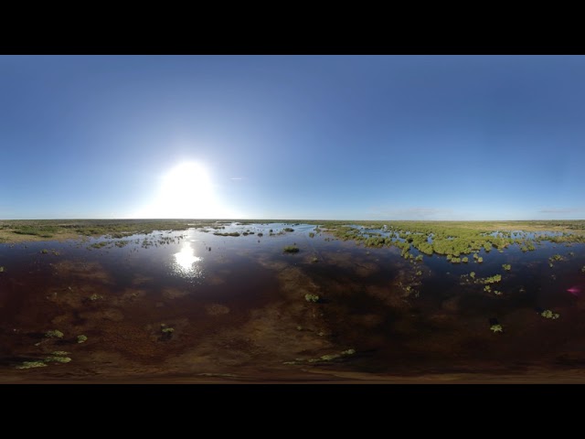 360° Morning Meditation VR everglades flying 360 over the Everglades near Marco Island Florida