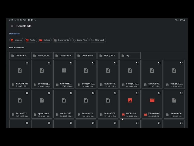 LogSentinel - CS50x Final Project by Khaled880099