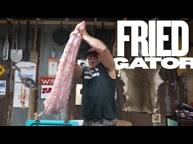 Fried Alligator Tail!!
