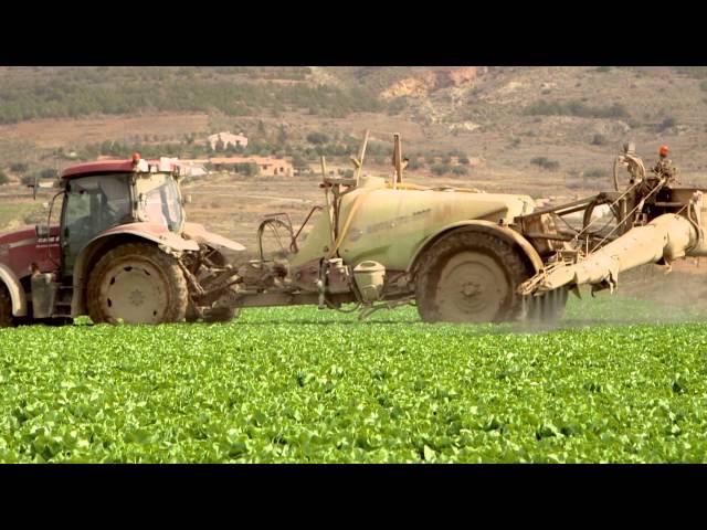 La nueva revolución verde– Alltech Crop Science
