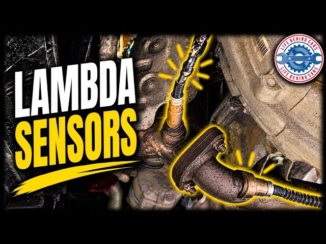 MG ZS 2024 Petrol 1.5 (1498cc) Lambda Sensor Locations