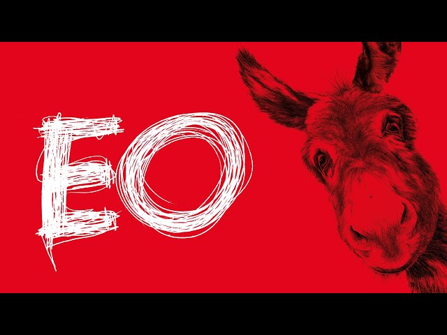 New trailer for EO - in cinemas from 3 February 2023 | BFI