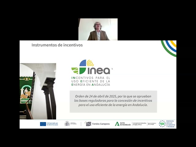 Encuentro web  Programa de incentivos  Hogares Vulnerables.AAE. 20 de febrero de 2026