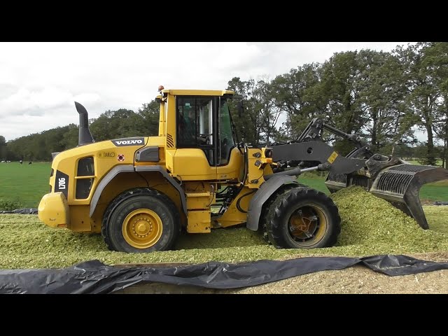 CWV Barlo chopping corn