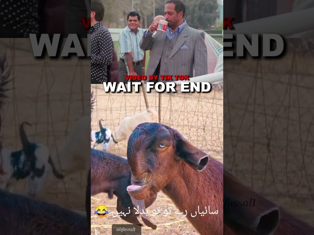 \Impossible 🤯😱🥶 #freefiregarena #GamingTutorial #reaction #FreeFire #gaming #ngtgamer #genzngt1m