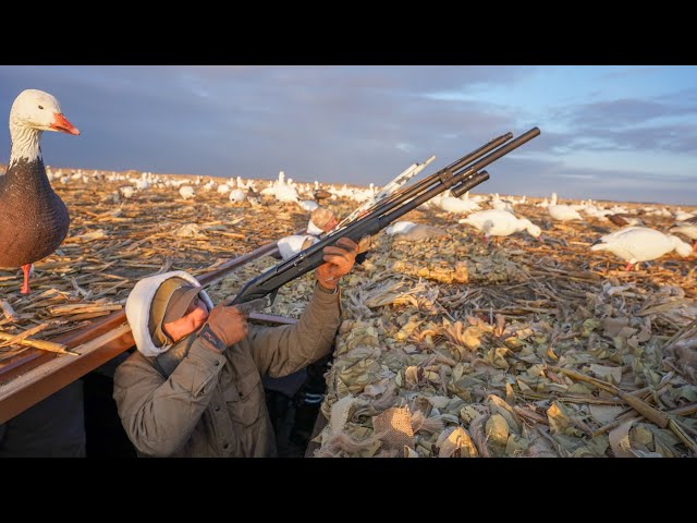 South Dakota Pit Blind Snow Goose Hunting in April!! Part 1