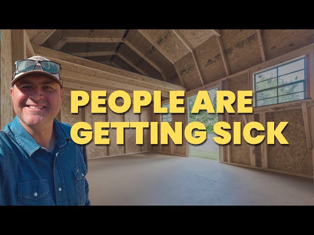 One Of The Biggest Mistakes Made When Converting A Shed To House!