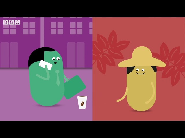 What is globalisation? – BBC Bitesize Key Stage 3 Learning for Life and Work