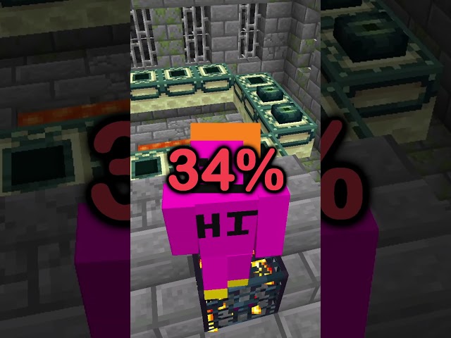 The New Minecraft World Record...