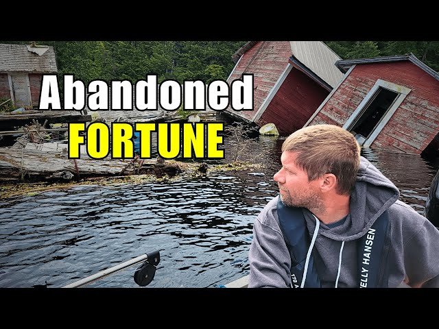 We Found THOUSANDS in Logging Gear ABANDONED
