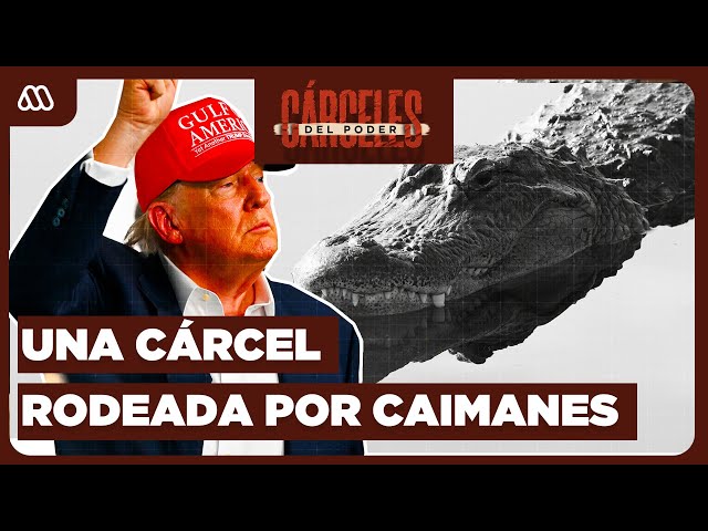 Cárceles del Poder | Capítulo 3 | Alligator Alcatraz: La polémica cárcel rodeada por caimanes