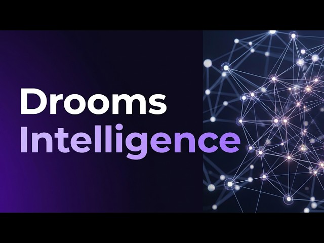 Drooms Intelligence
