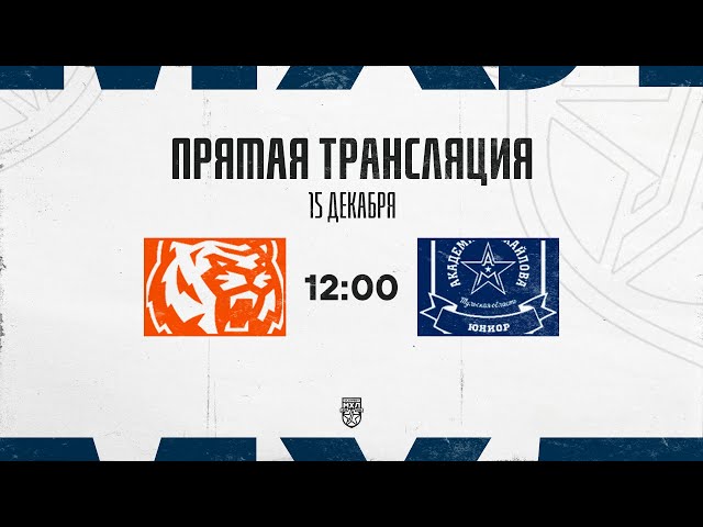 15.12.2025. «Амурские Тигры» – «АКМ-Юниор» | (OLIMPBET МХЛ 25/26) – Прямая трансляция