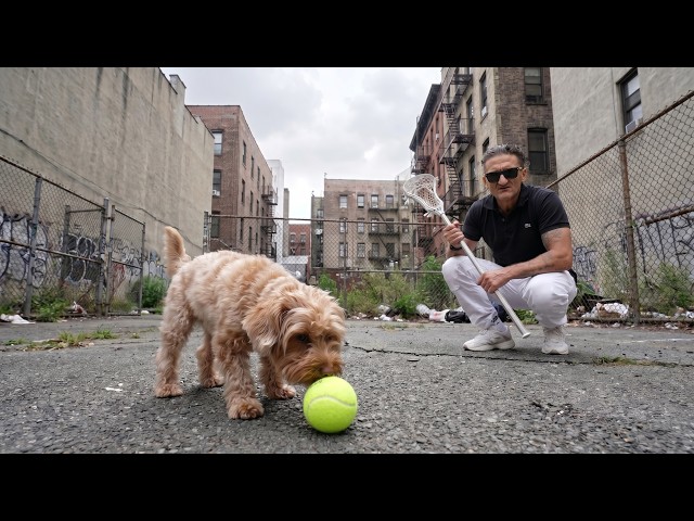 The Worst Dog Park In New York City