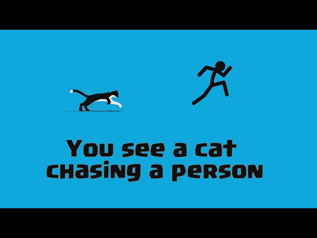 You control the video! | Play with me | Interactive video