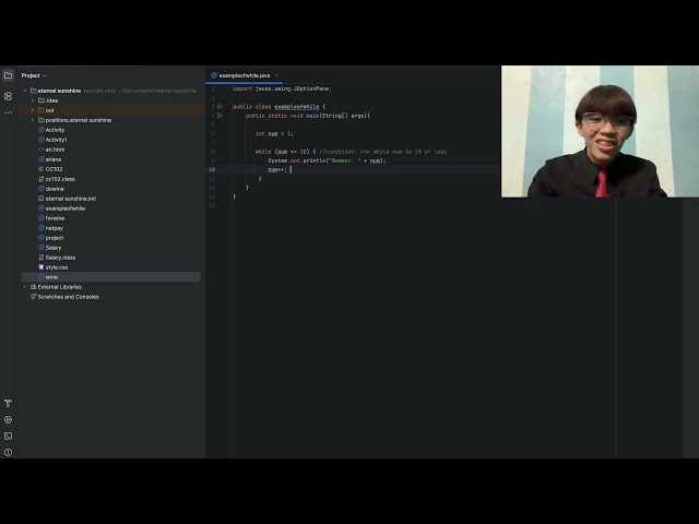 PROGRAM FLOW: ITERATION CONTROL STRUCTURE