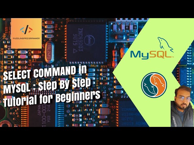 The SELECT Query: MySQL's Most Powerful Tool