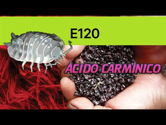 Todo sobre el Ácido Carmínico (Colorante Alimentario E120) DOCUMENTAL COMPLETO 🔴
