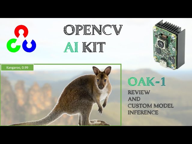 OpenCV AI Kit OAK-1 Review and Custom Model Inference