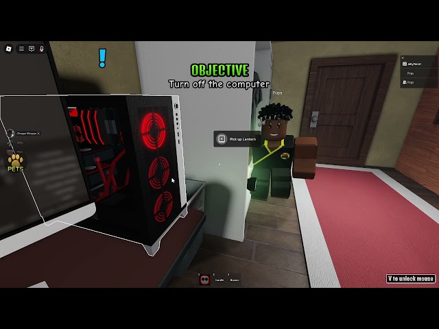 The Streamer Expierence!