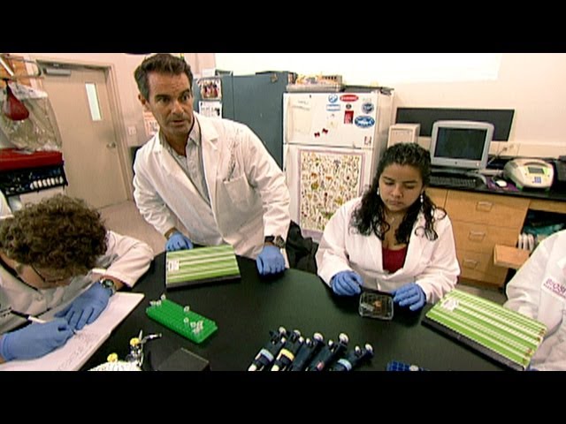 An Introduction to Project-Based Learning