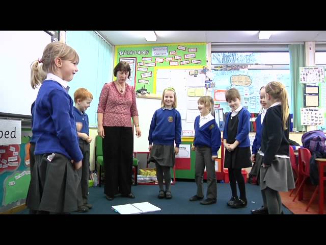 French Primary Lesson Observation