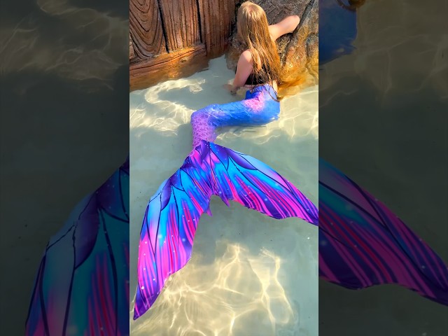 Is She Real?? 😨 #mermaid #kitten