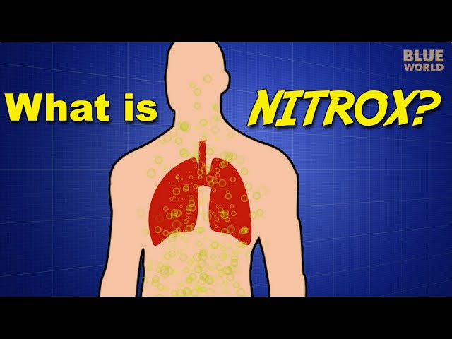 What is NITROX? | SCUBA 101