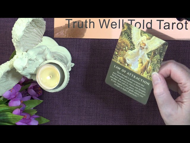 Your Daily Angel Message - A Little Angel Message — What the Angels Want You to Know Today ✨